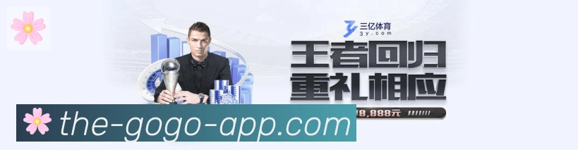 未来规划